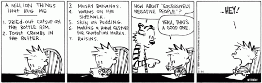 Calvin & Hobbes