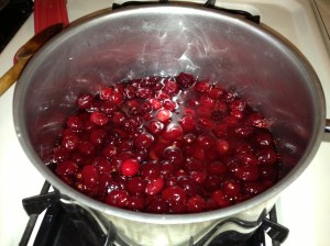 I even made my own cranberry sauce, also super-easy. And so pretty!