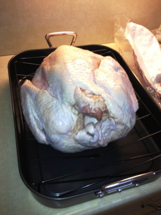 EEP!!!! Yep, I'm still afraid of raw poultry. 