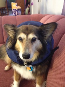 Definitely less amused now.