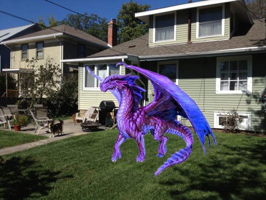 Wendys Yard Dragon