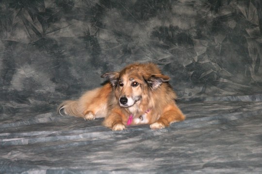 2008-03-18 18.36.19-1